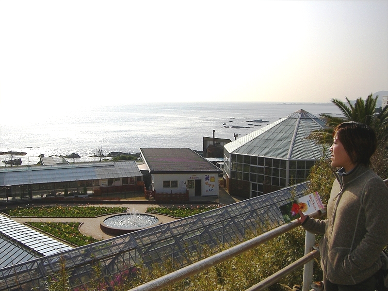 CIMG6592_R