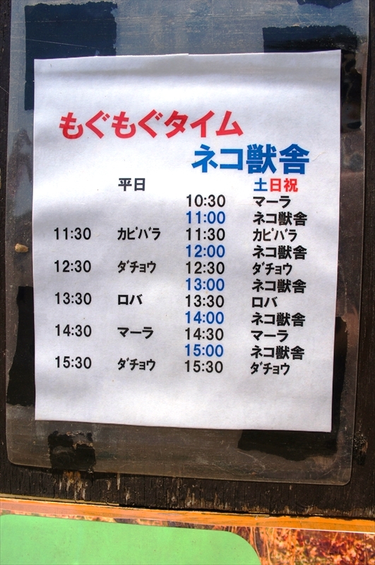 DSC08640_R