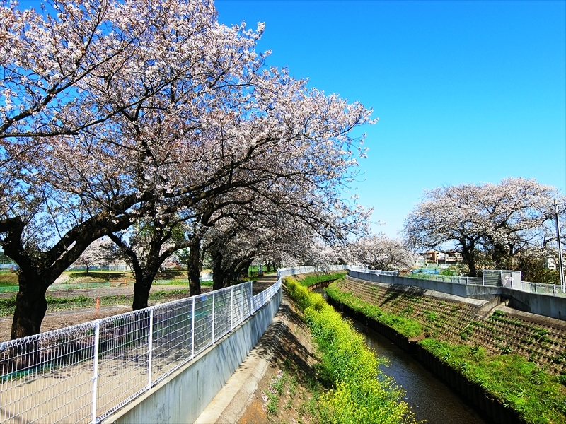 CIMG1408_R