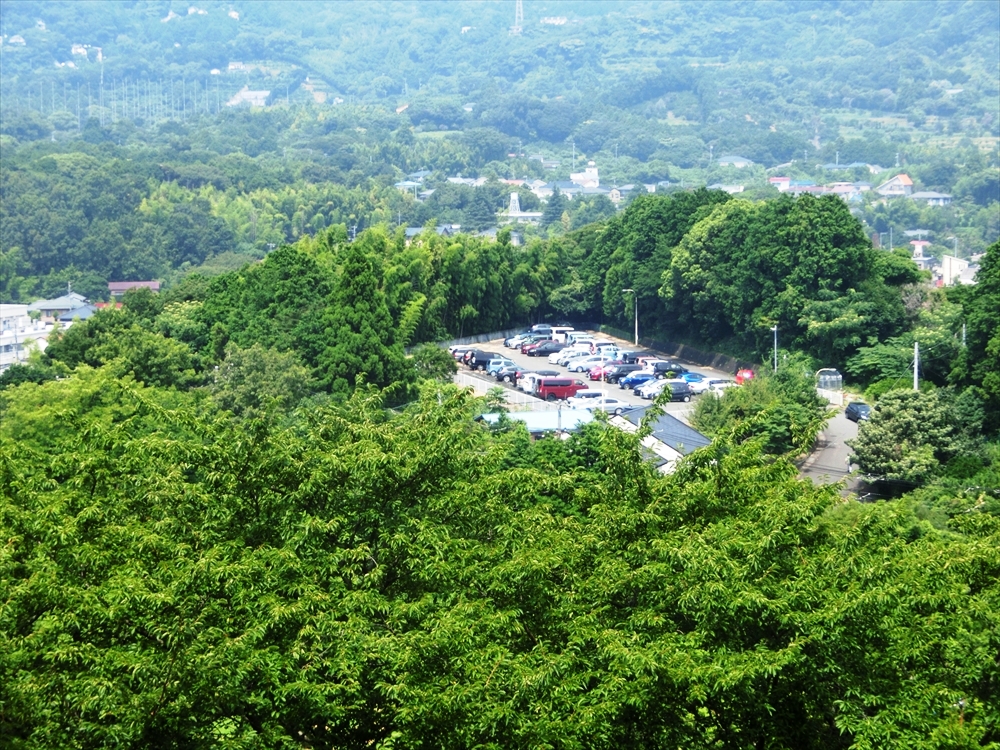 CIMG1117_R