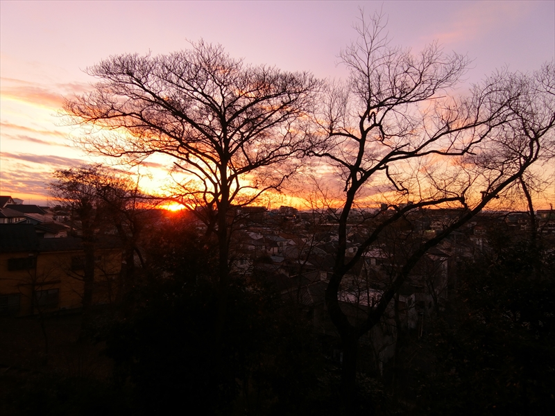 CIMG0015_R