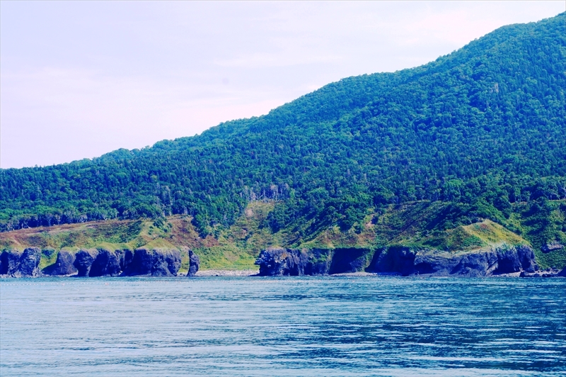 DSC00652_R