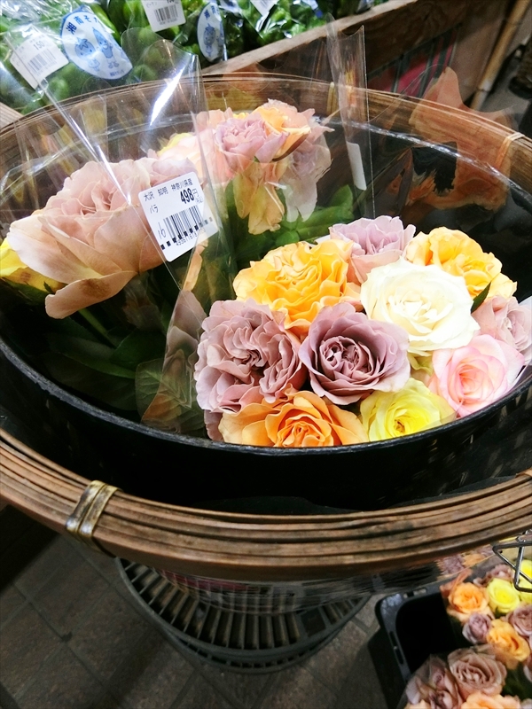 CIMG5937_R