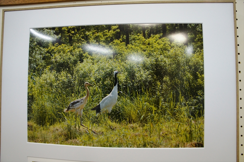 DSC00711_R