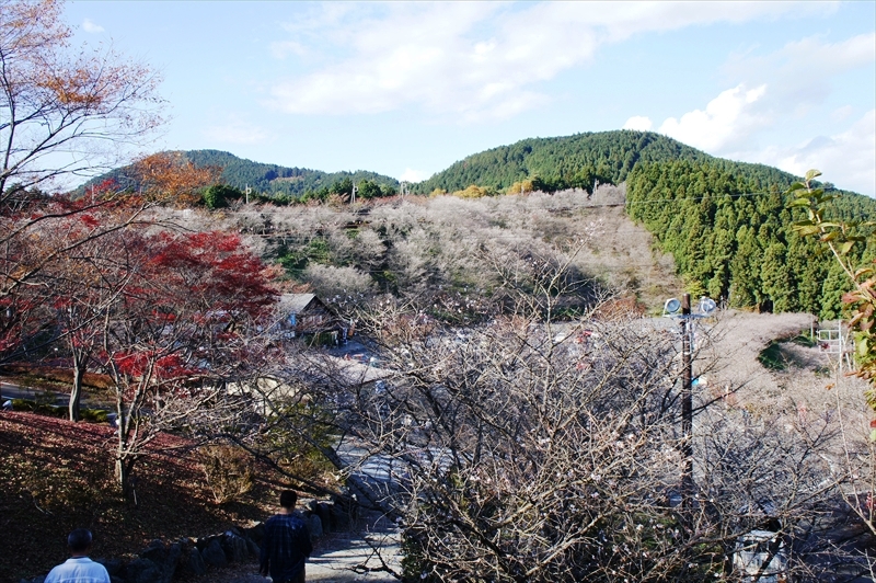 DSC01459_R