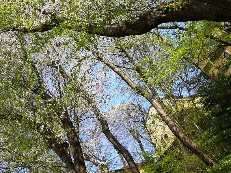 CIMG3048_R