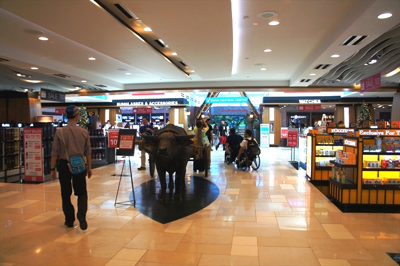 DSC01011_R
