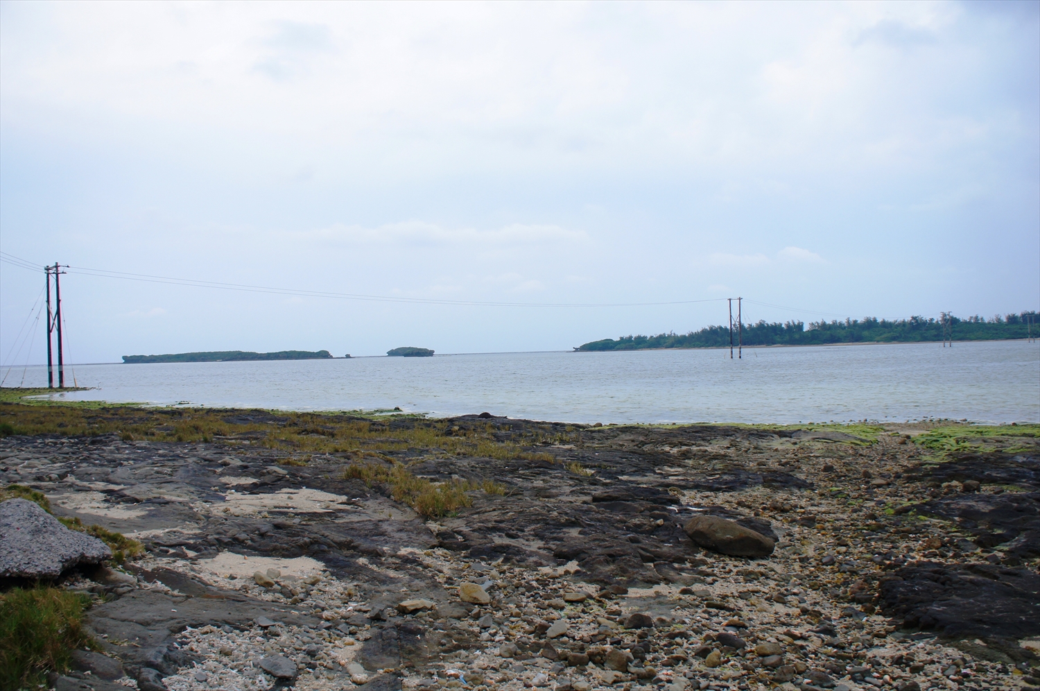 DSC03257_R