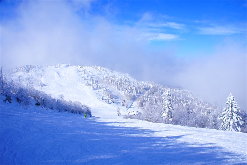 DSC00378_R