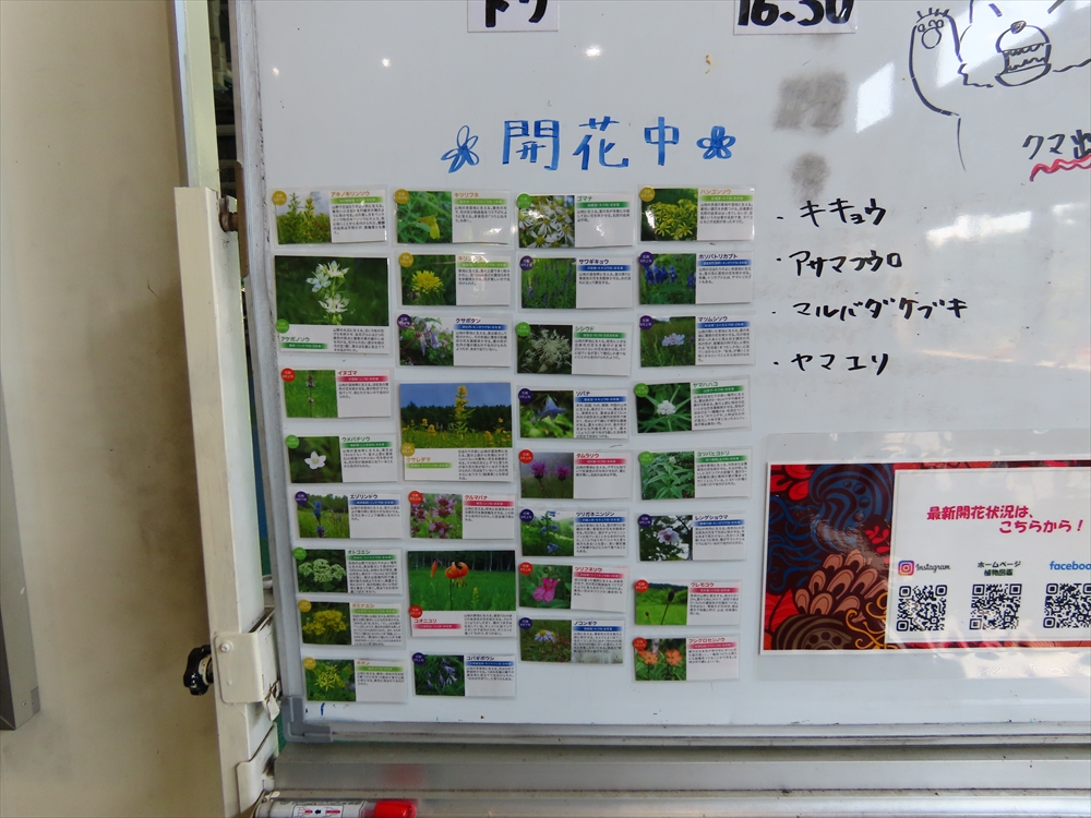 IMG_6437_R