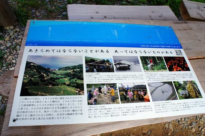 DSC05134_R