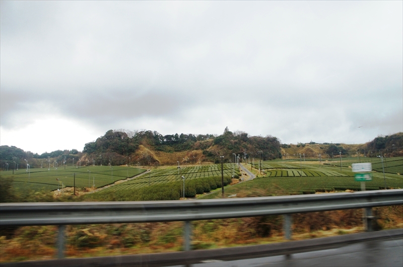 DSC00031_R