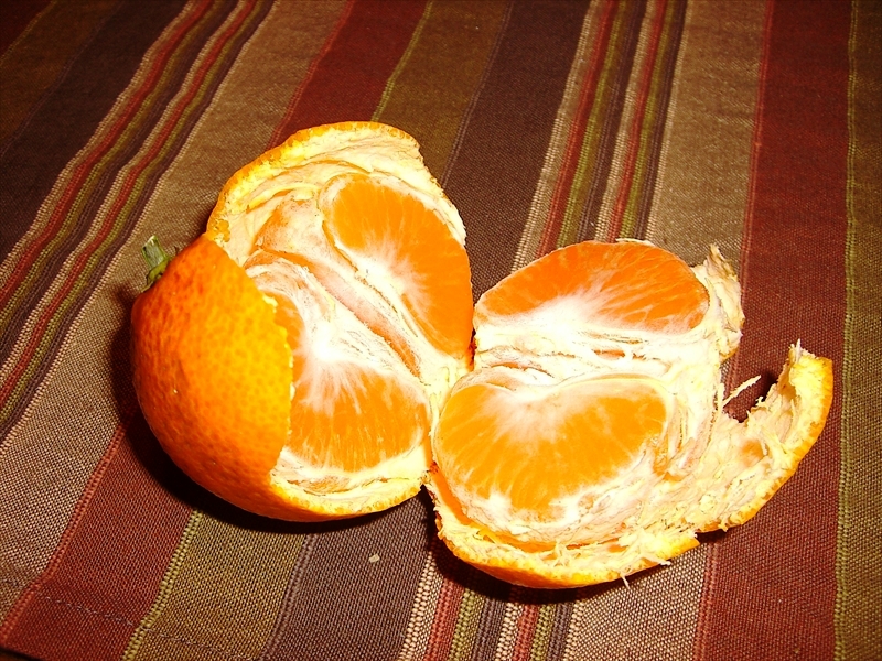 CIMG2074_R