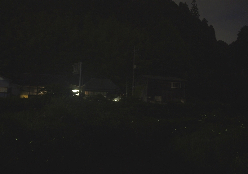 DSC01497_R