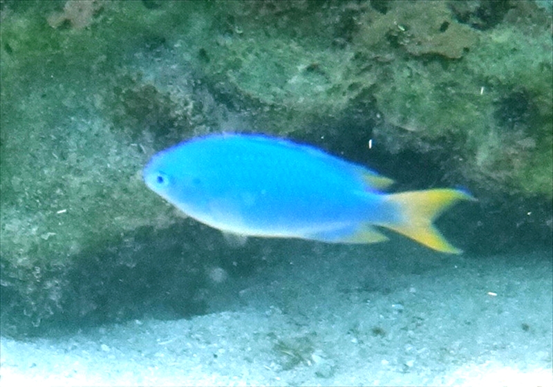 DSC08560_R