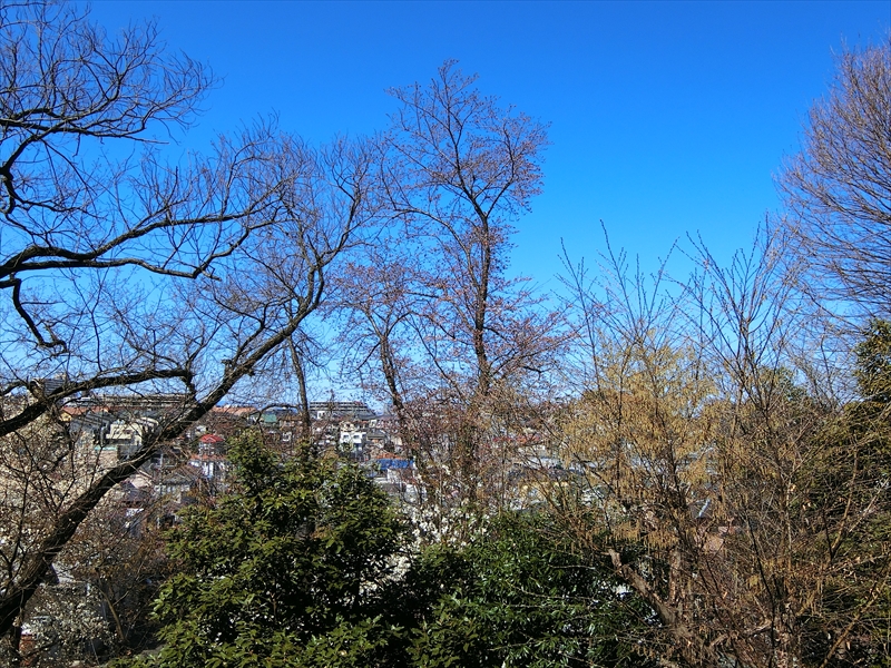 CIMG8925_R