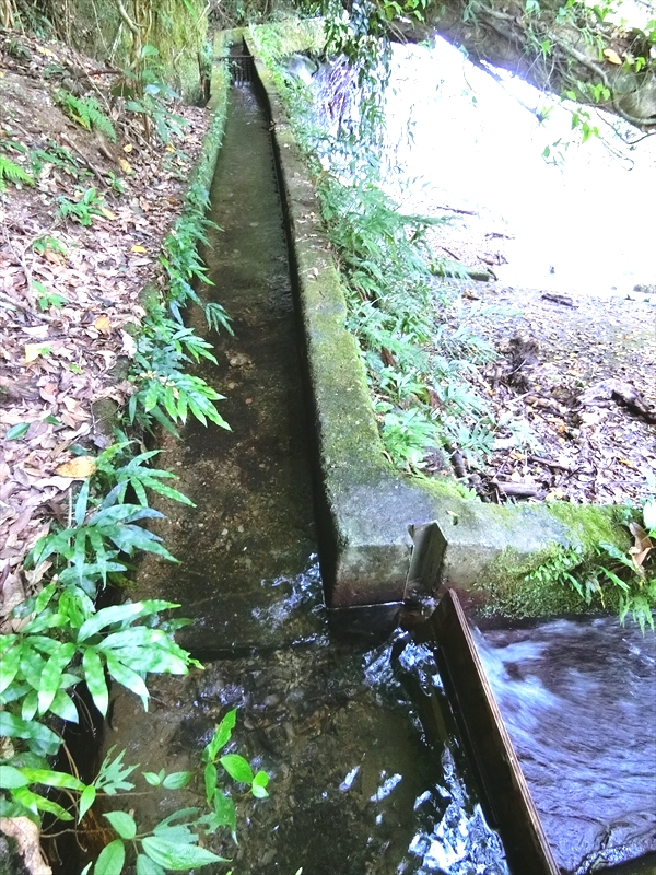 CIMG4962_R