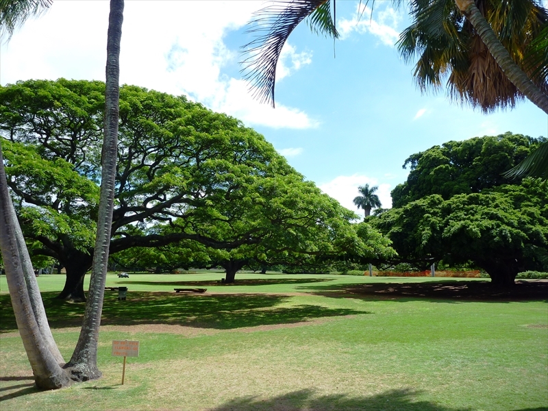 P1020597_R