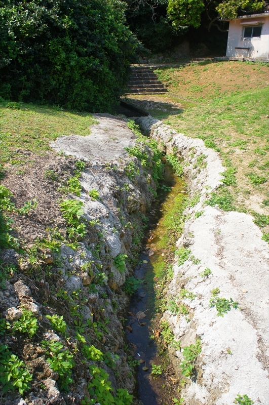 DSC00916_R