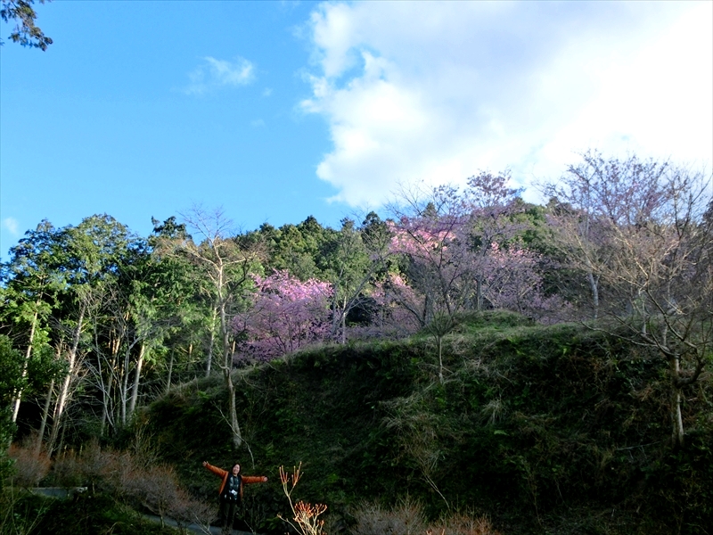 CIMG7581_R