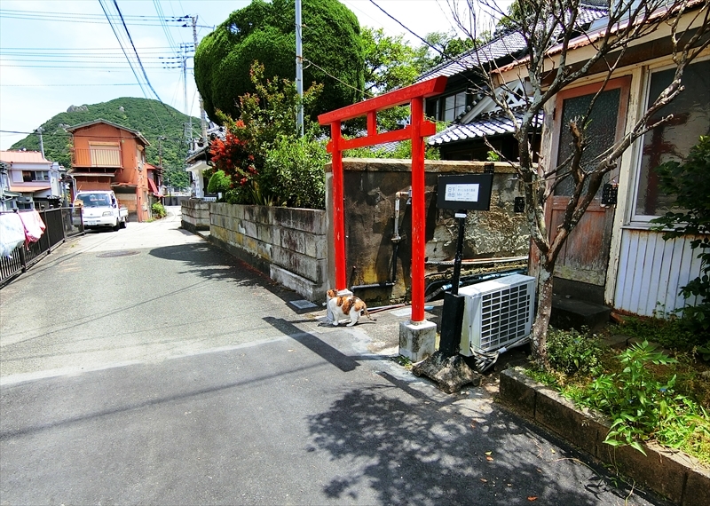 CIMG3021_R