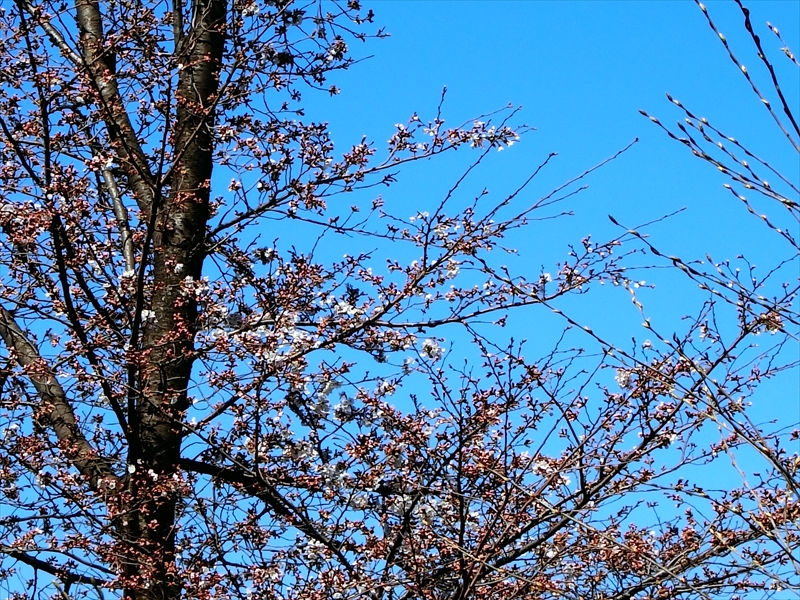 CIMG8923_R