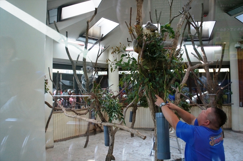 DSC01212_R
