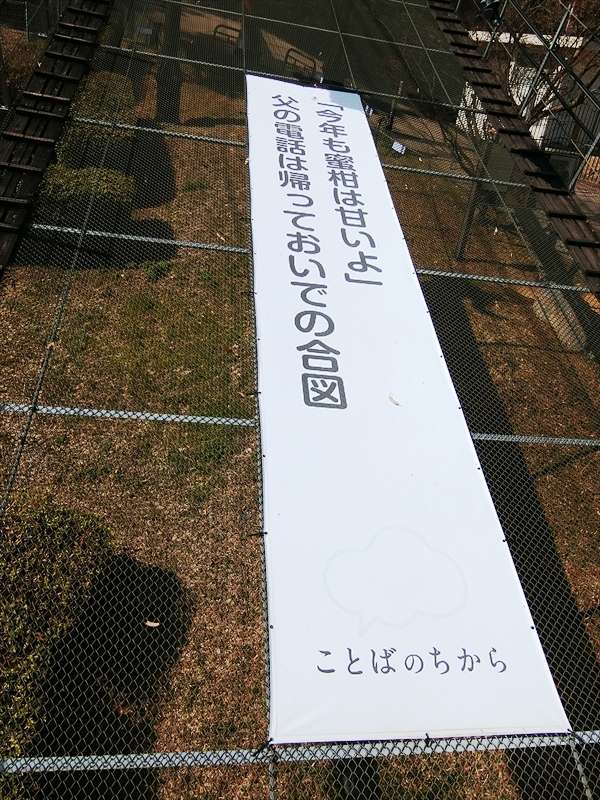 CIMG7135_R