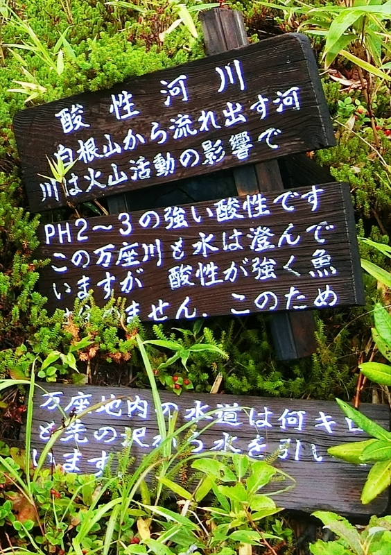 CIMG3128_R