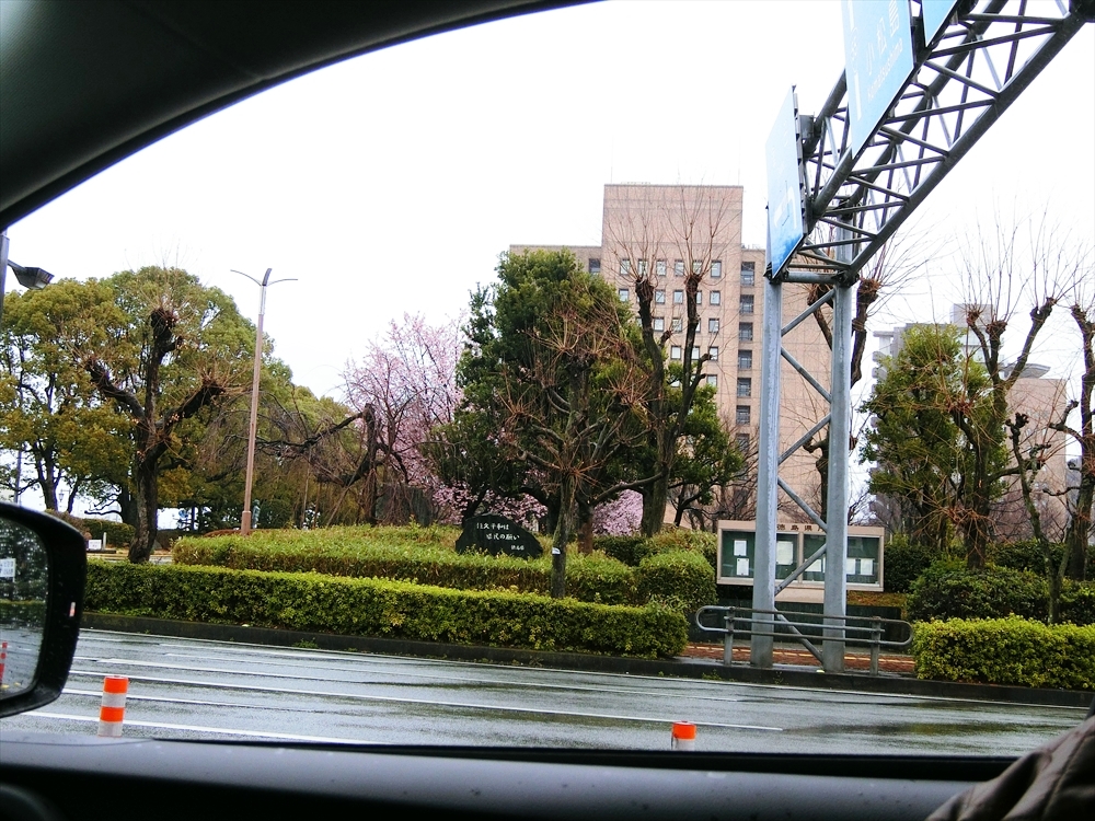 CIMG0841_R