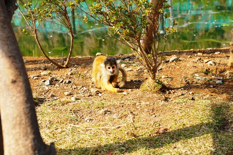 DSC04076_R