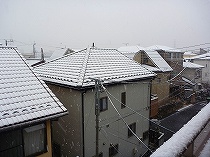 降ってますな〜