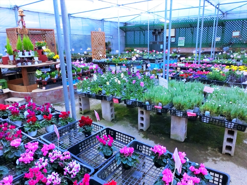 CIMG0150_R