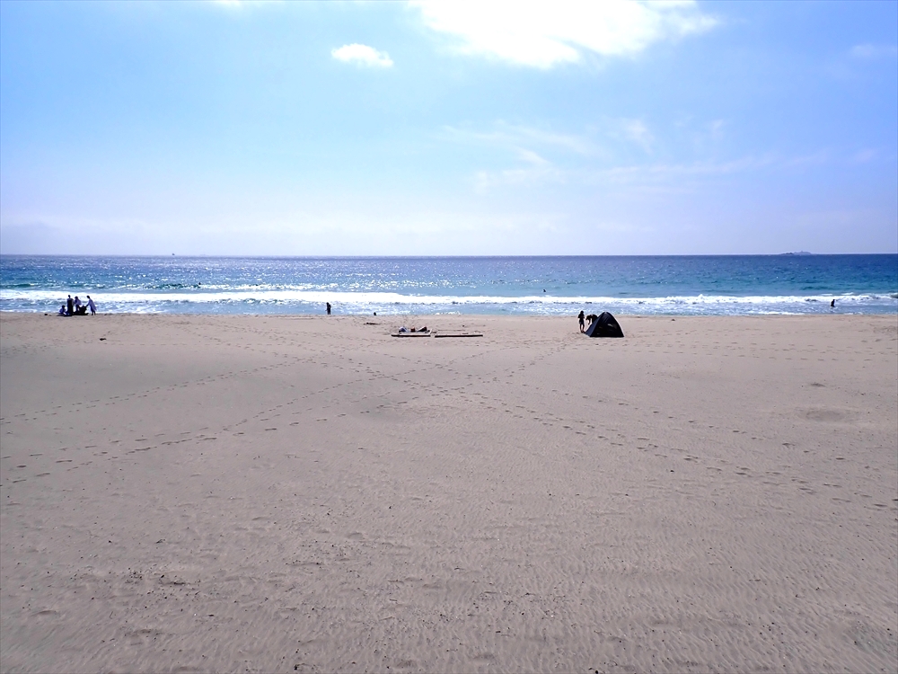 P9010199_R