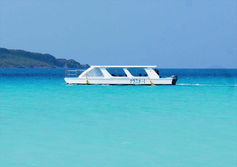DSC00739_R