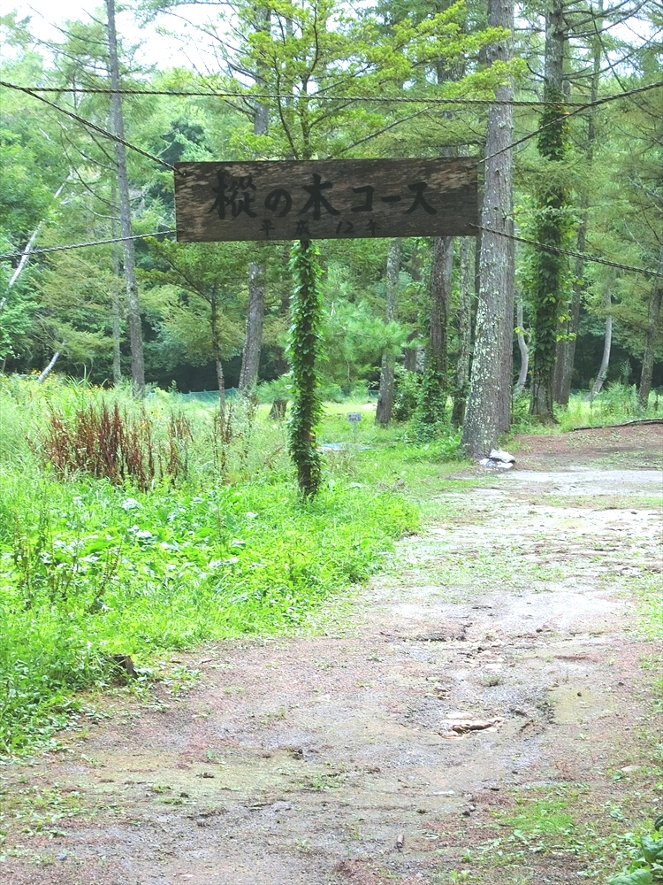 CIMG7454_R