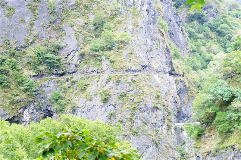 DSC09918_R