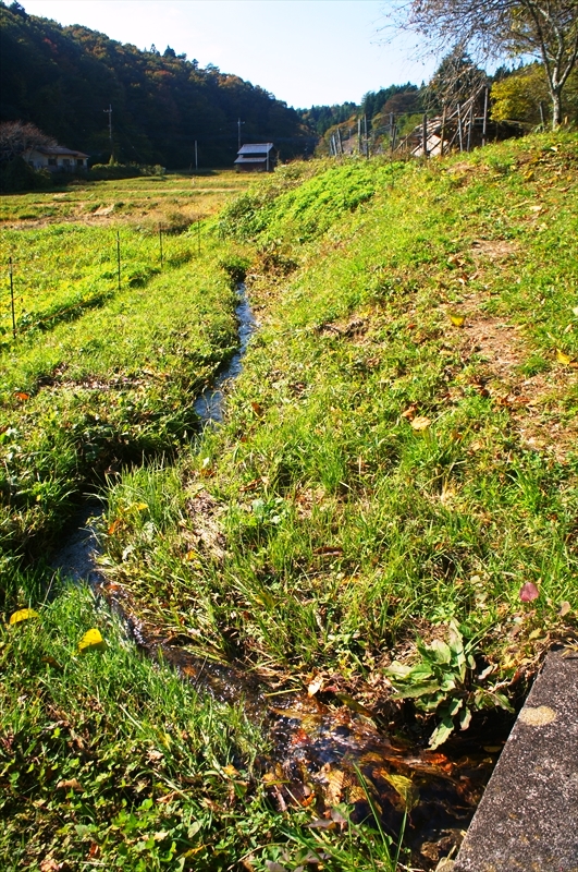 DSC01590_R