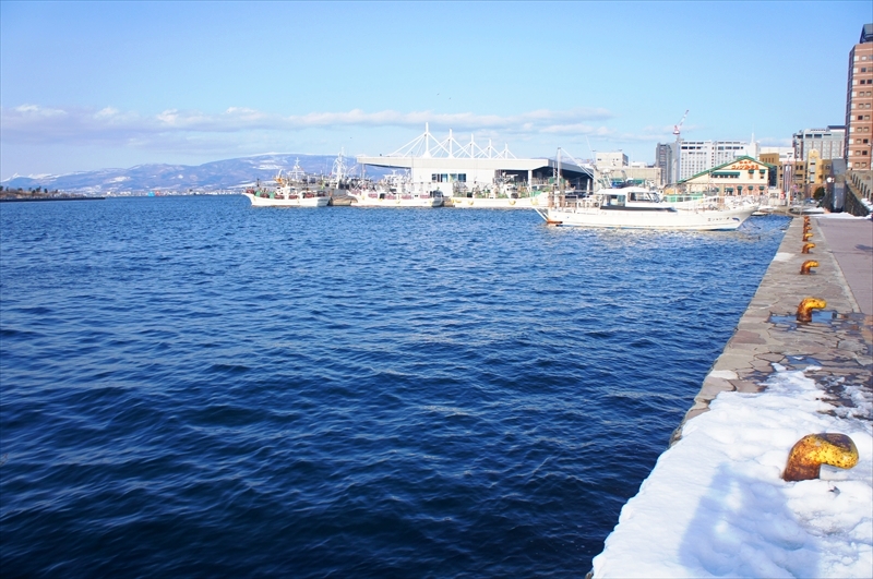 DSC00135_R