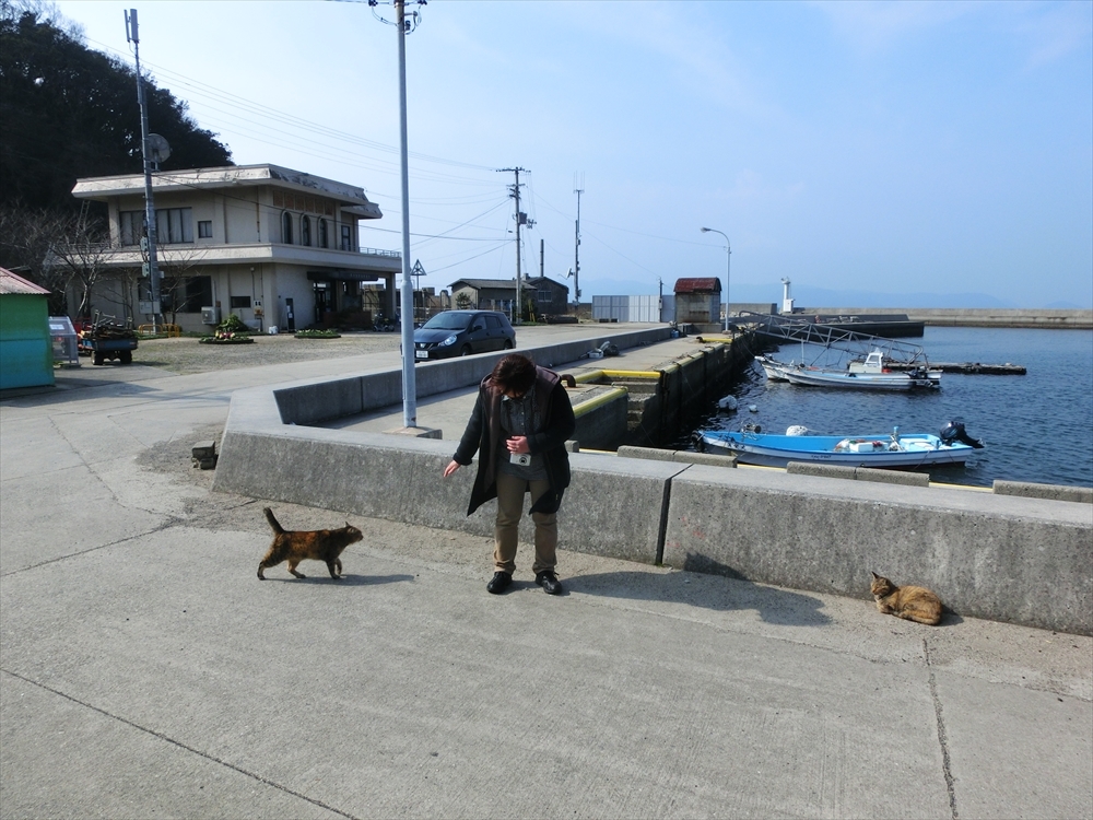 CIMG0357 (2)_R