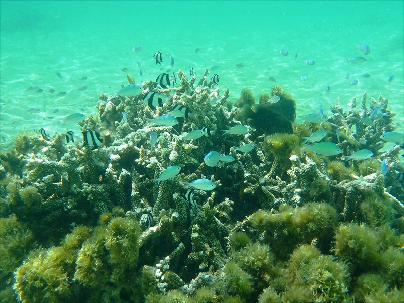 P1050656_R