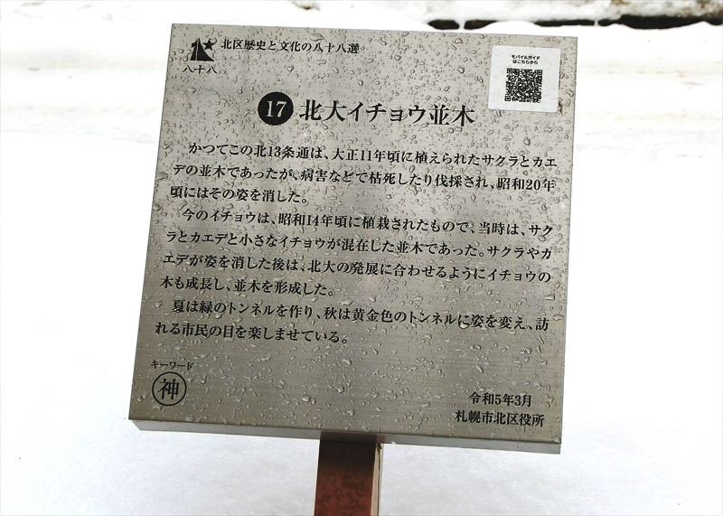 CIMG8247_R