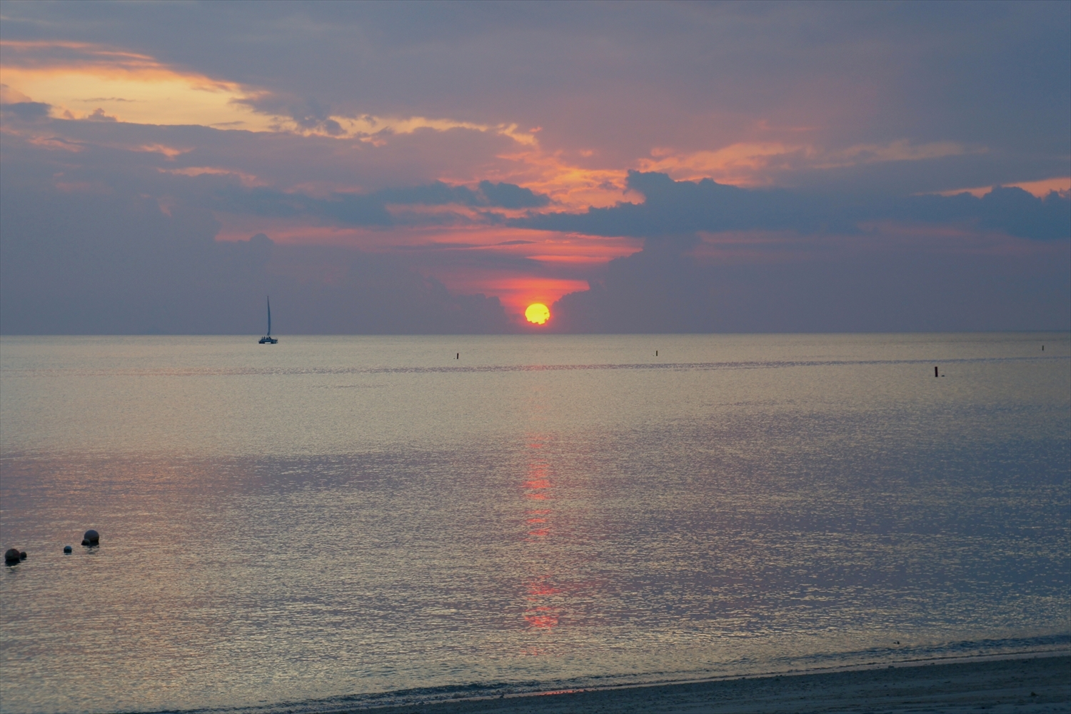 DSC00668_R