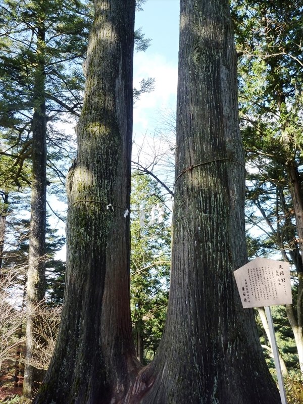 P1030465_R