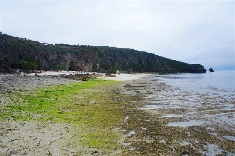 DSC00140_R