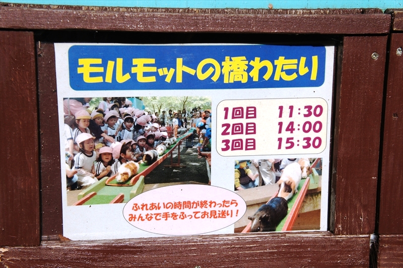 DSC01256_R