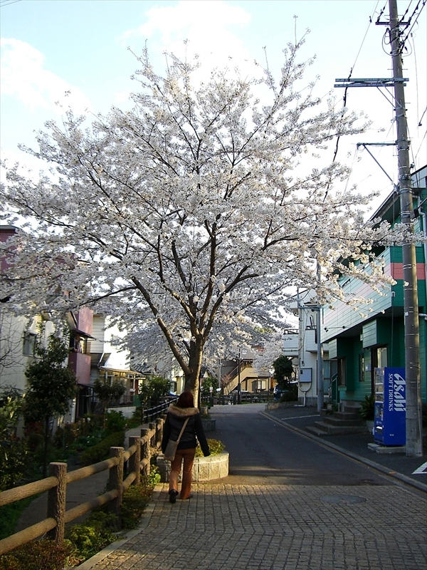 CIMG7712_R