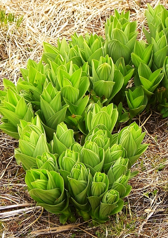 CIMG36760_R