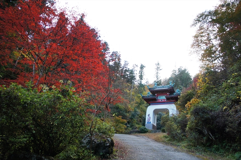 DSC01777_R