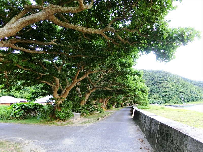 CIMG6227_R